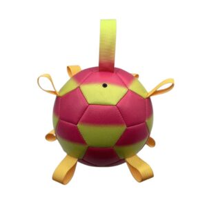 Soccer Ball for Dogs – JT238