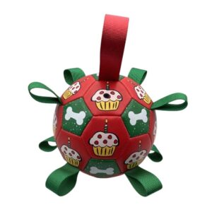 Soccer Ball for Dogs – JT237