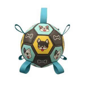 Soccer Ball for Dogs – JT239